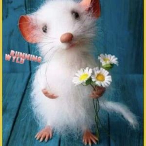 Meet your Posher, Penny